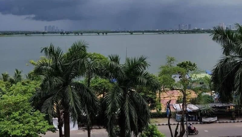 Ebizindia Consulting